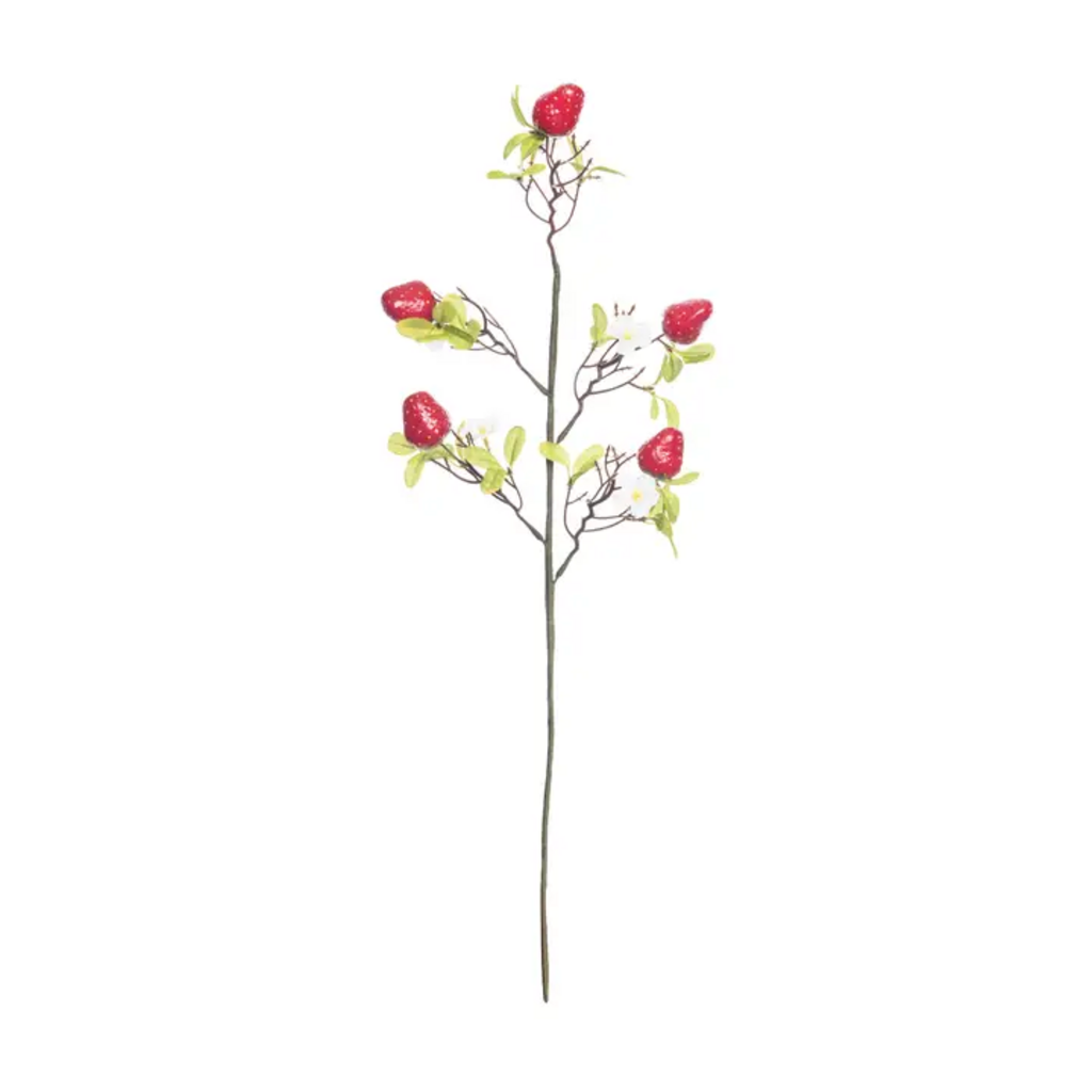 STRAWBERRY GARDEN PICK