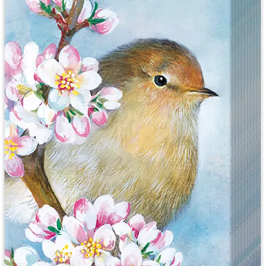 HARMONY POCKET TISSUE