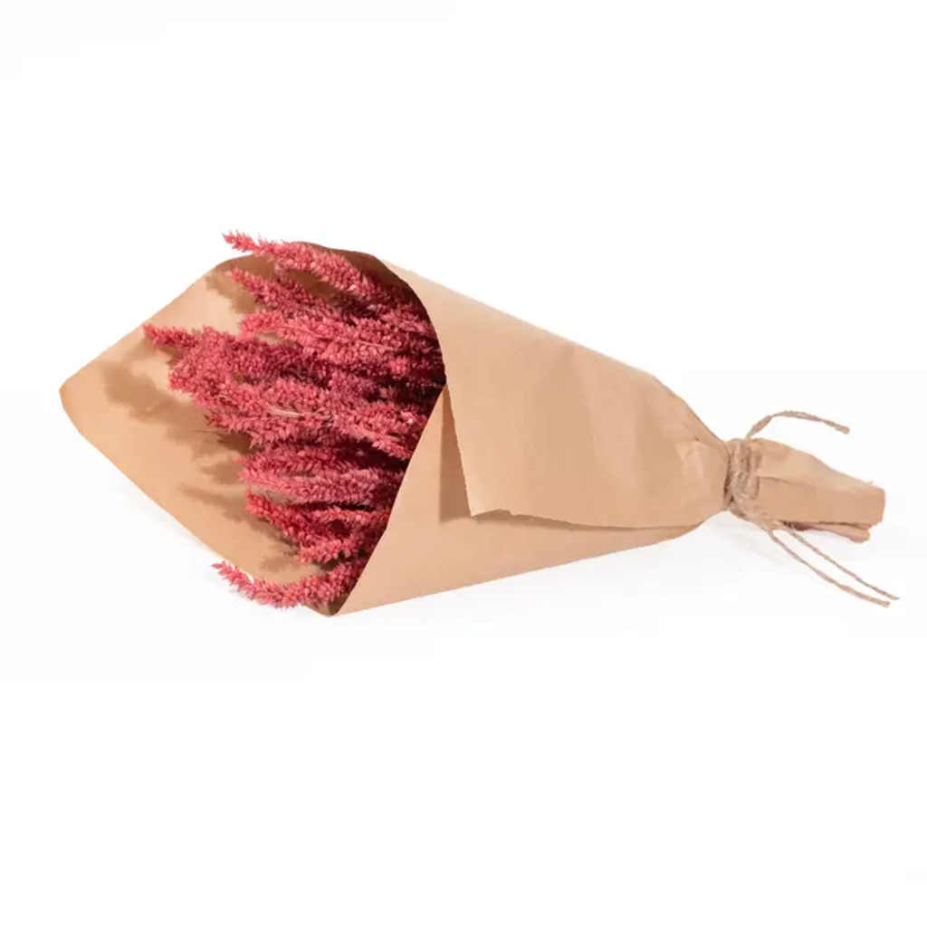 MINI AMARANTHUS BUNDLE