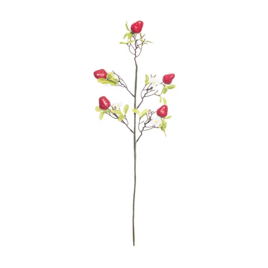 STRAWBERRY GARDEN PICK