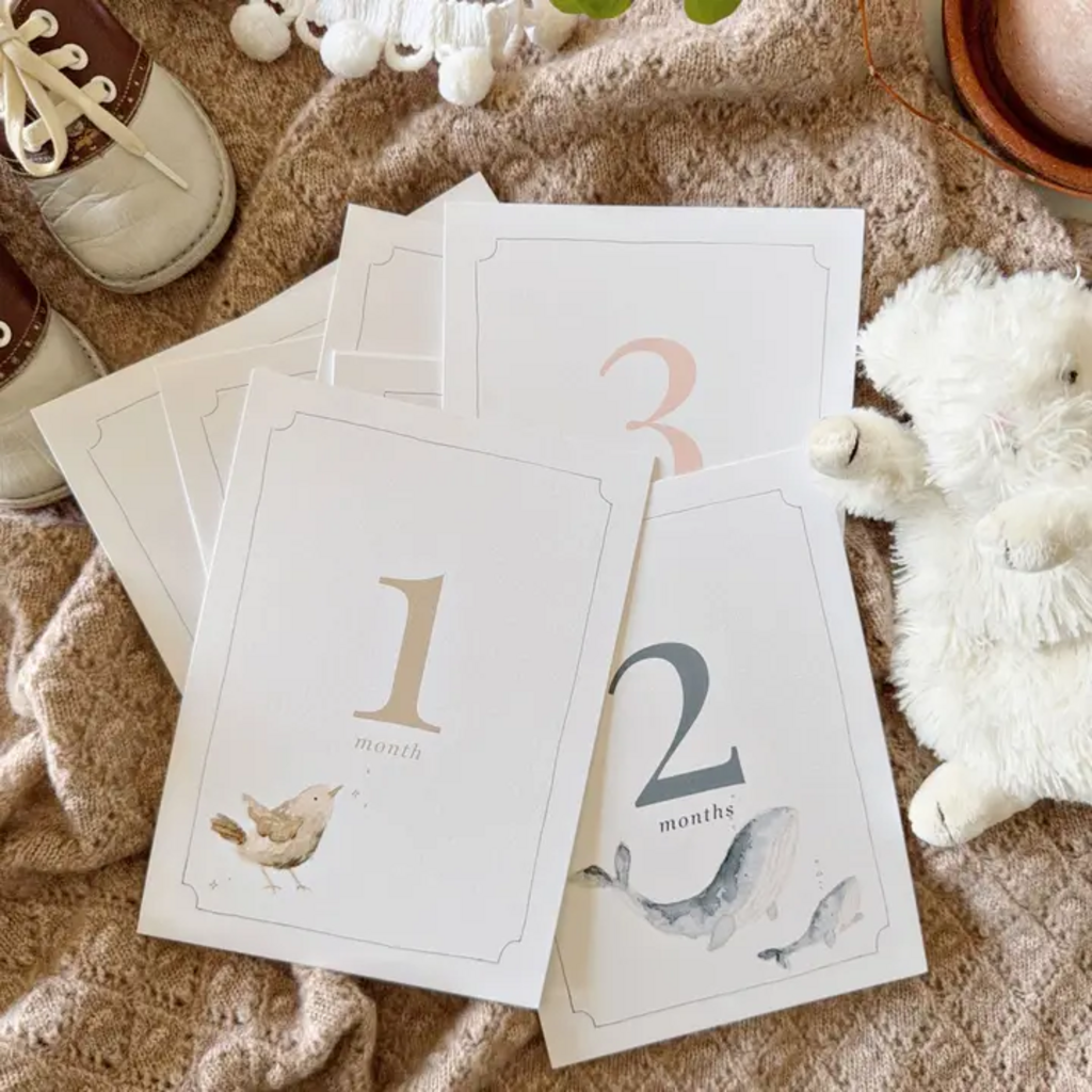 BABY MILESTONE CARDS