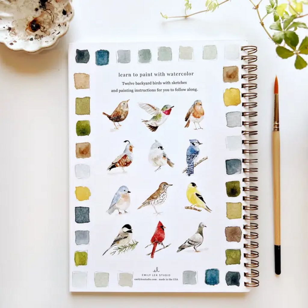 BIRDS WATERCOLOR WORKBOOK