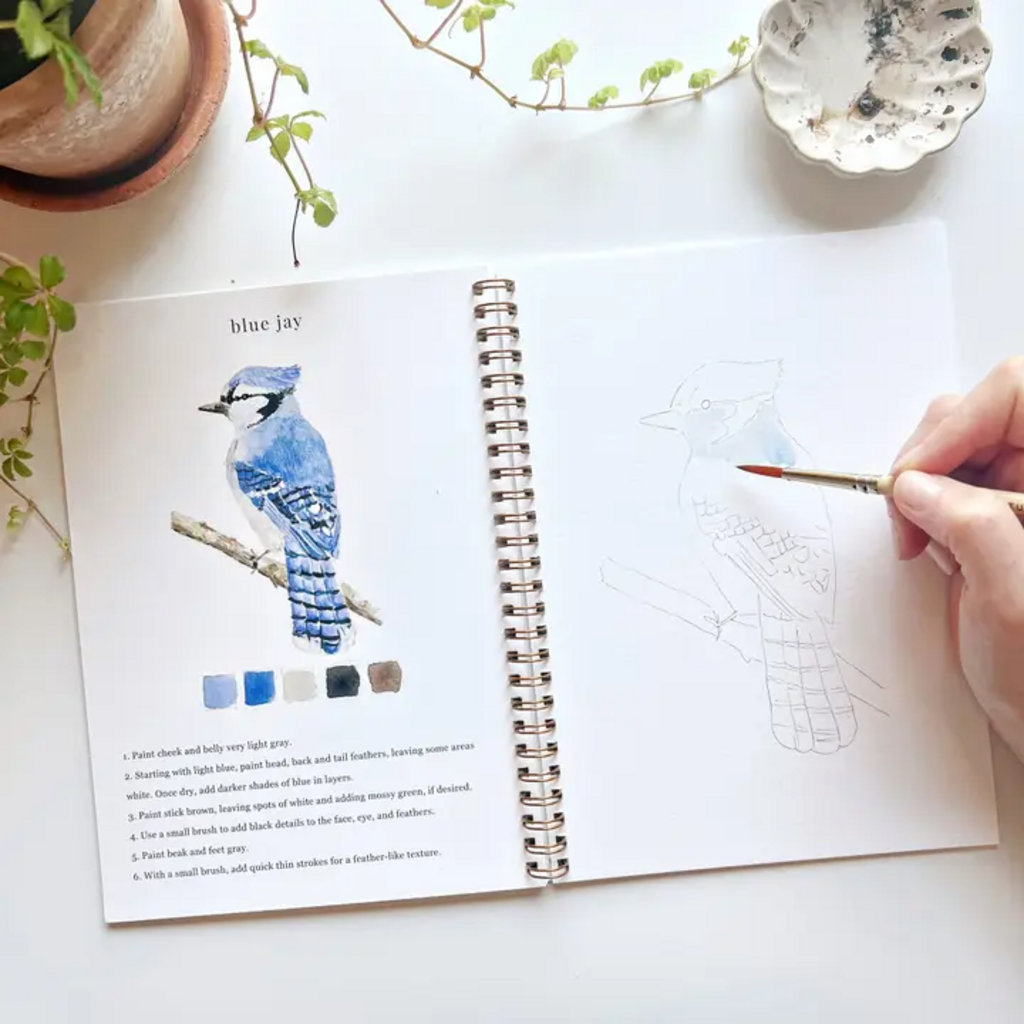BIRDS WATERCOLOR WORKBOOK
