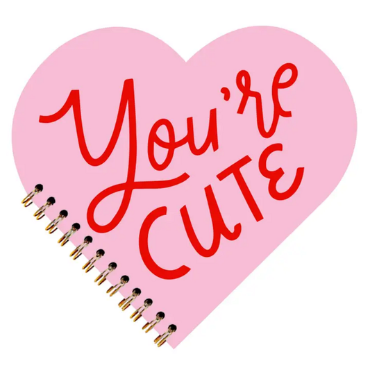 YOU'RE CUTE VALENTINE'S DAY NOTEBOOK