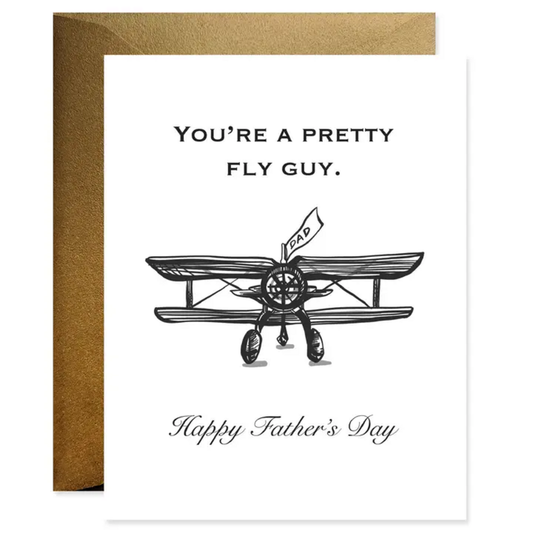 FLY GUY FATHER'S DAY CARD